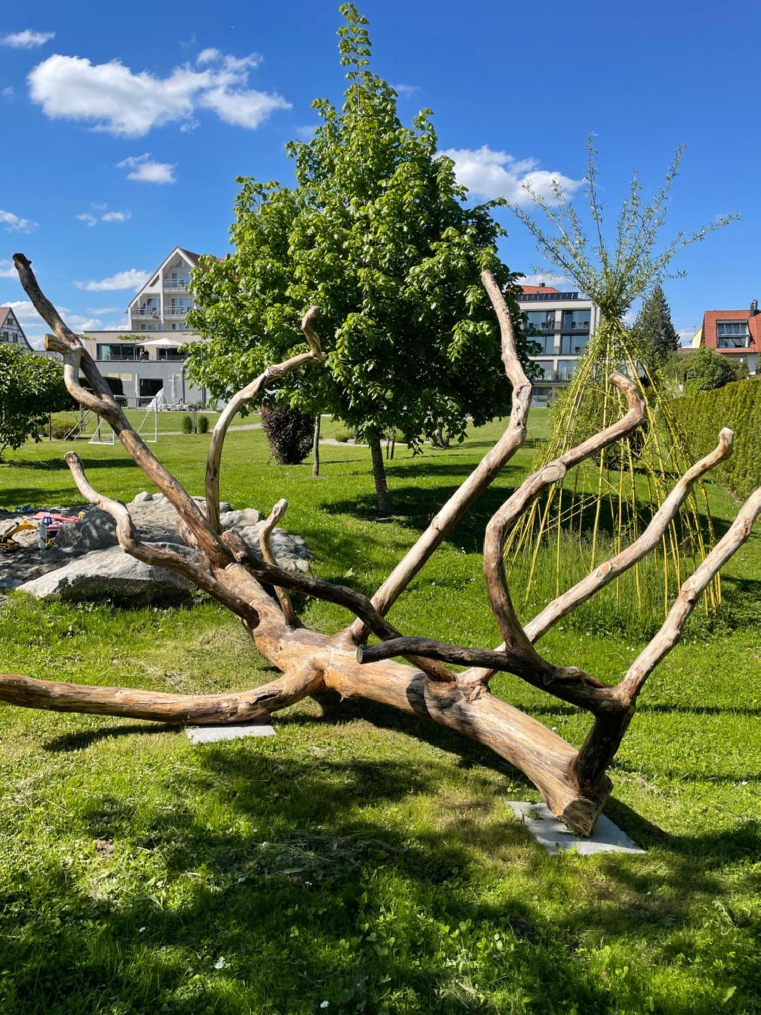 Traube Am Hotel 4*